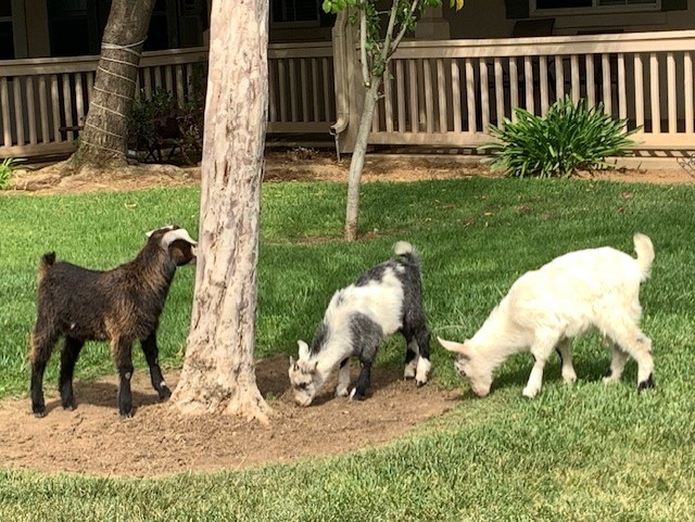 The Farm - Gardens of Riverside