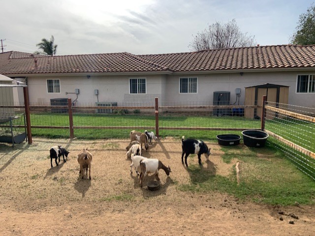 The Farm - Gardens of Riverside